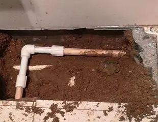 叶集测漏水哪家好