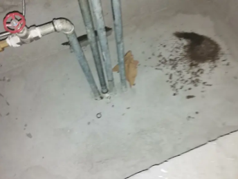 叶集卫生间测漏水价格明细