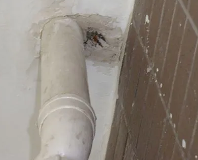 叶集漏水检测哪家好